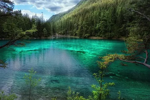 St�jerorsz�gi Z�ld-t� (Gr�ner See), l�tk�p