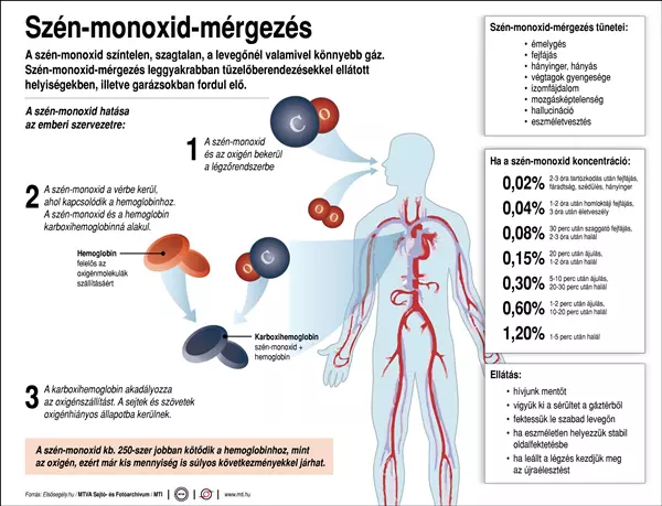 A sz�n-monoxid-m�rgez�s, t�netei, megel�z�se