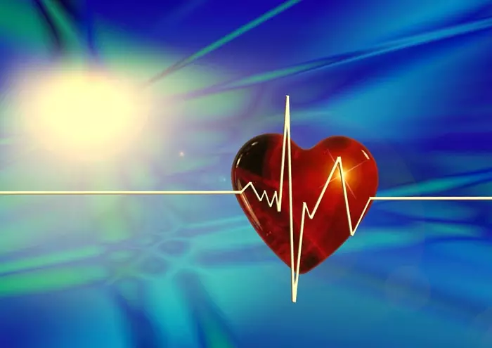 Az emberi EKG