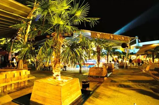 Bring�sbar�t a Palace Garden