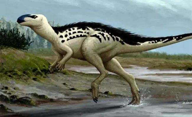 A Burianosaurus augustai rekonstrukci�ja