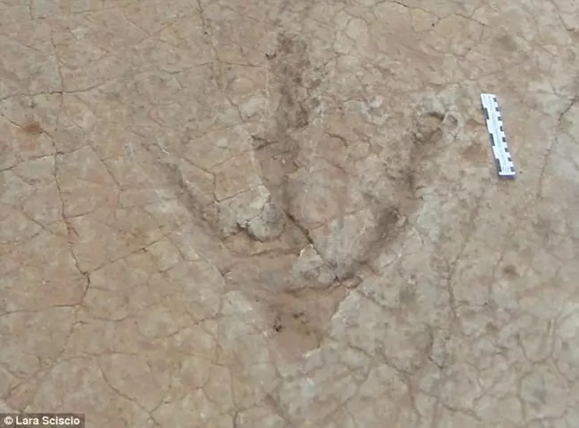 A Kayentapus ambrokholohali egyik l�bnyoma