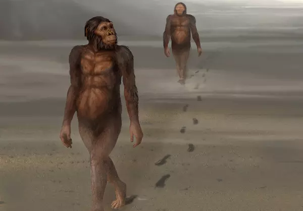 Australopithecus afarensisek