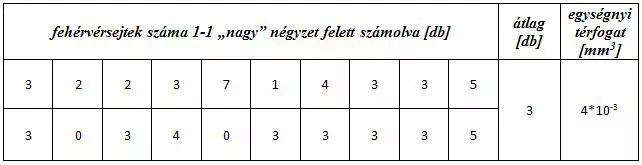 Hogy is k�sz�l a v�rk�p?