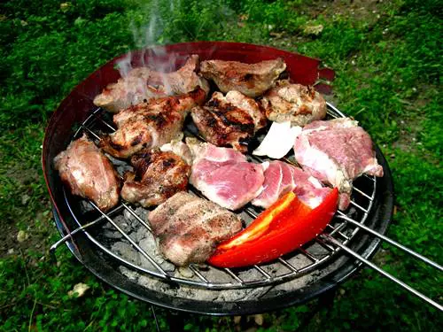 Fokhagym�s-ecetes grill