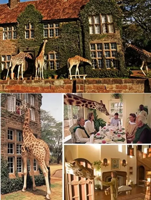 Giraffe Manor
