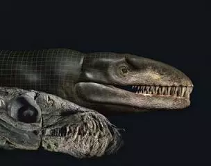 Tudta, hogy Godzilla 'val�ban l�tezett'?