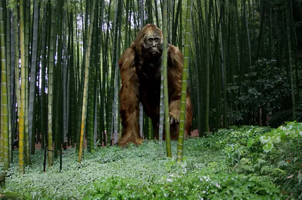 Gigantopithecus rekonstrukci�