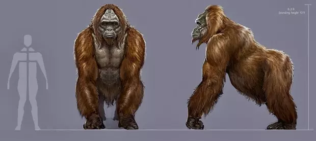 A Gigantopithecus m�retei az ember�hez viszony�tva