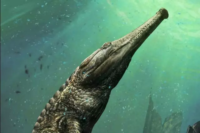Machimosaurus rex rekonstrukci�ja