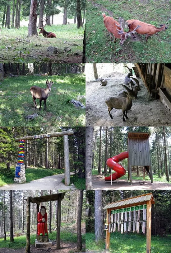 Hohe Wand vadaspark (�llatkert), j�tsz�t�r