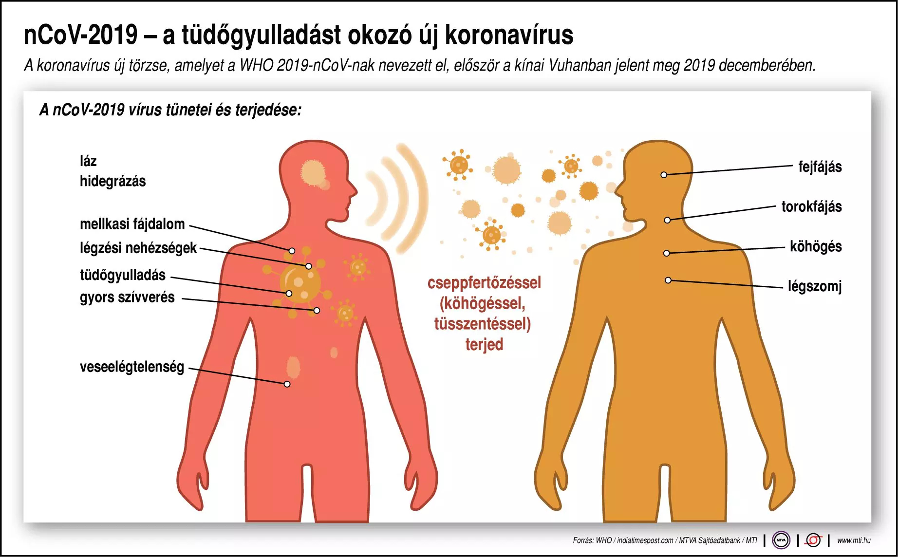 nCoV-2019 - a t�d�gyullad�st okoz� �j koronav�rus