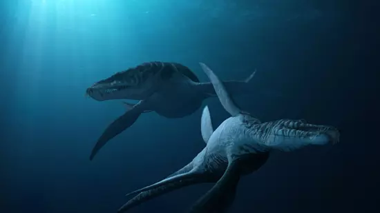 Liopleurodon ferox p�r