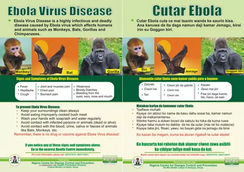 Ebola ellenes plak�t, Nig�ria - 2014