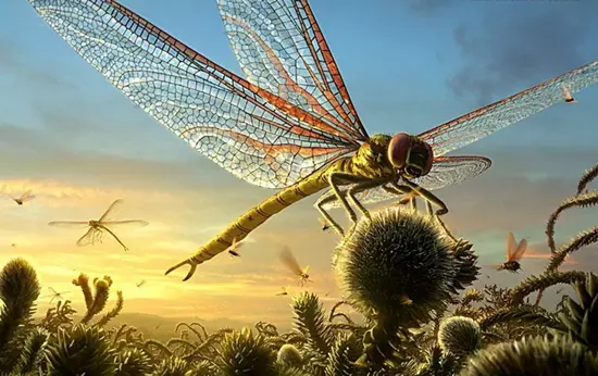 Meganeuropsis permiana rekonstrukci�ja