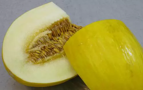 M�zdinnye (Cucumis melo)