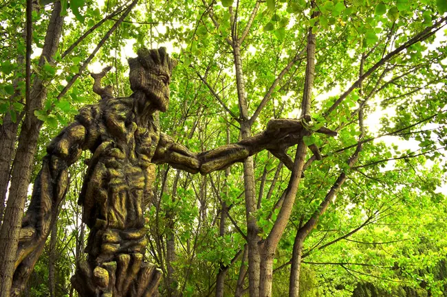 Ent