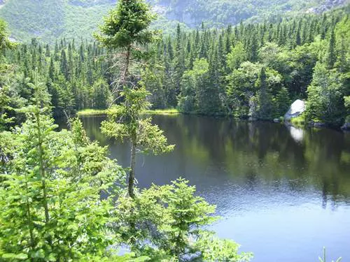 Mount Washington, sz�lsebess�g rekord eml�kt�bla