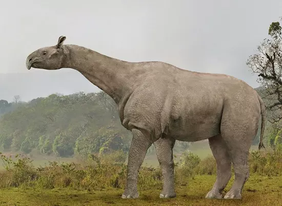 Paraceratherium transouralicum rekonstrukci�ja