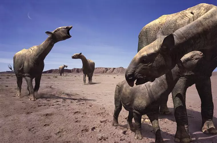 Paraceratherium zhajremensis rekonstrukci�ja