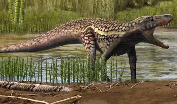 A Prorotodactylus mesaxonichnus rekonstrukci�ja