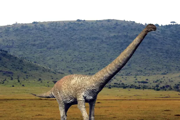 Notocolossus gonzalezparejasi rekonstrukci�