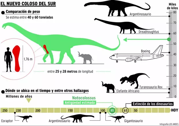 Notocolossus gonzalezparejasi m�retei