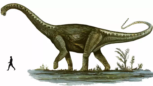 Notocolossus gonzalezparejasi m�retei az ember�hez k�pest