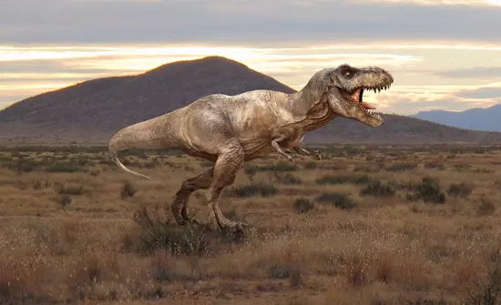 Tyrannosaurus rex rekonstrukci�ja