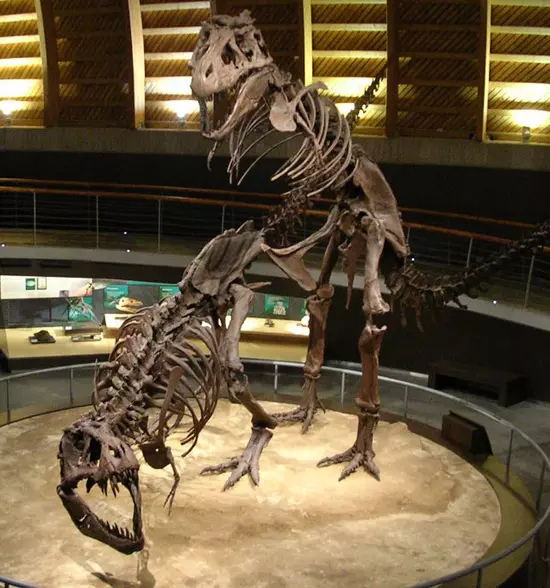 P�rz� Tyrannosaurus rexek - Jurassic Museum of Asturies